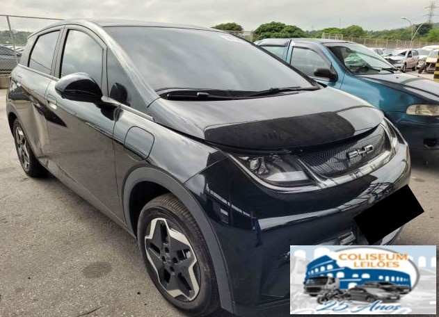 BYD DOLPHIN EV GS 70 KW 2024